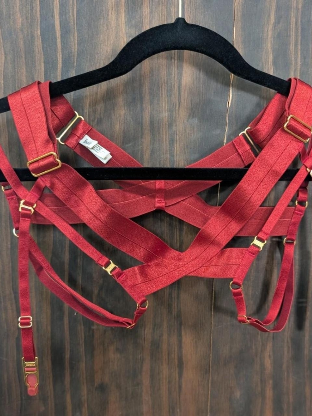Bordelle Tomoe Overt Harness Briefs with detachable garters in Burnt Red 🍒
